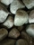 Камень банный Жадеит галтованный, Хакасия. Крупный, весовой. #3