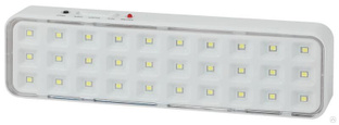 Светильник светодиодный DBA-102-0-20 30LED 5ч IP20 выход аварийный непостоянный Эра Б0044395 