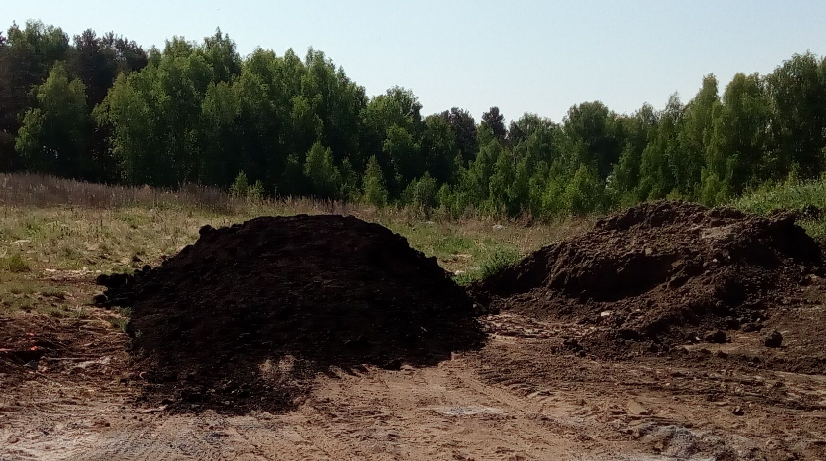 Торф великий новгород