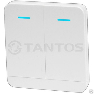 Передатчик клавишный Tantos TSt-100HK #1