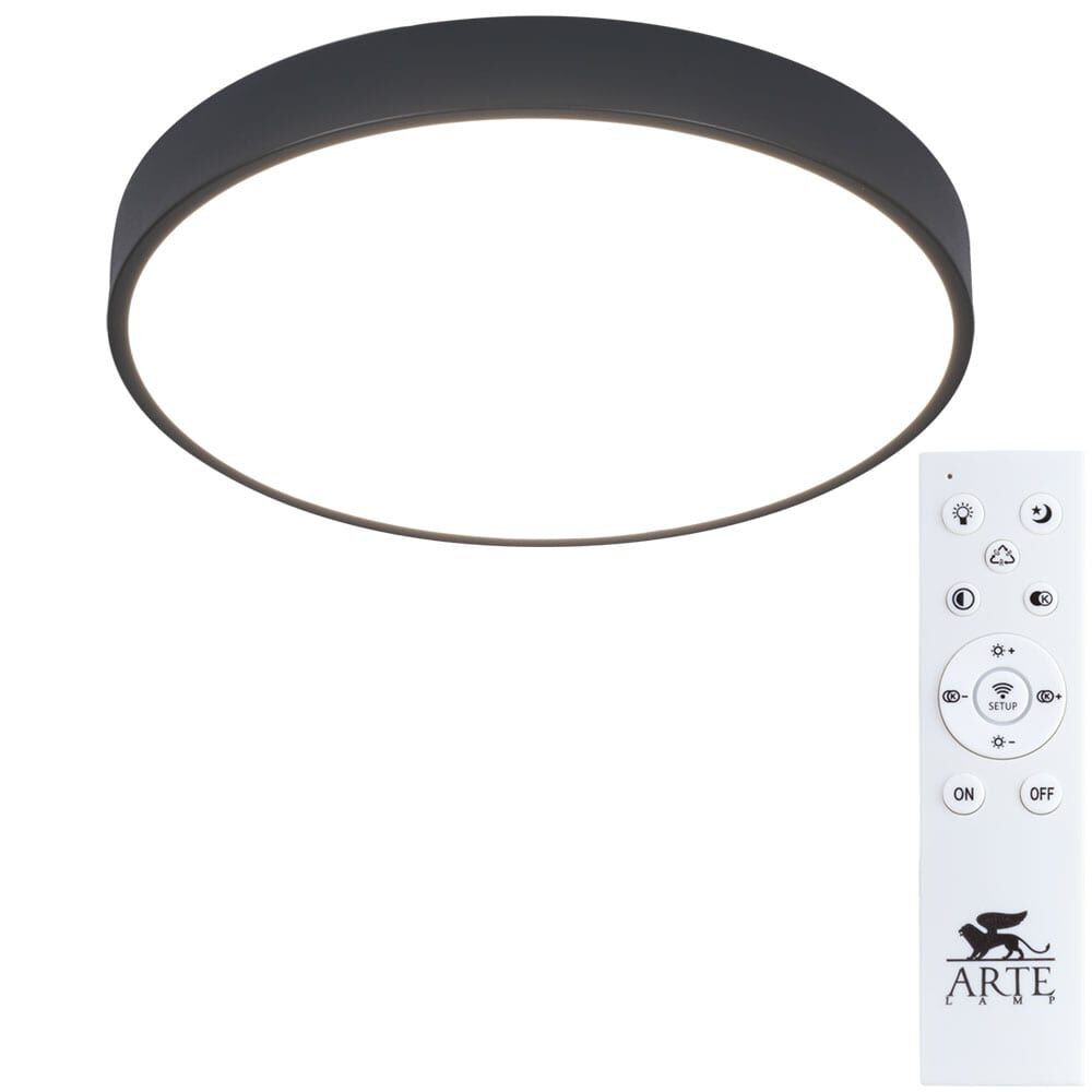Потолочный светильник ARTE LAMP ARENA